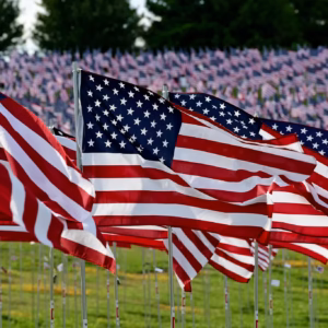 Sponsor a Flag in the Field of Valor